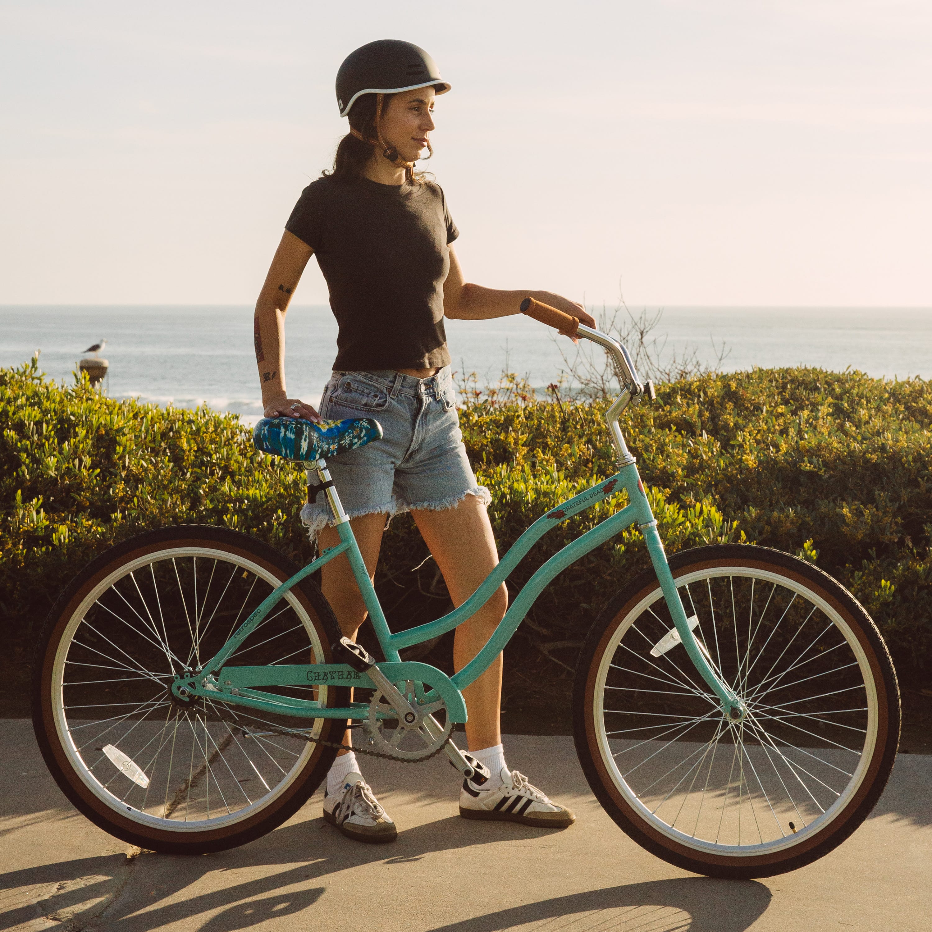 Grateful Dead Chatham Beach Cruiser Bike - Step Through Single Speed