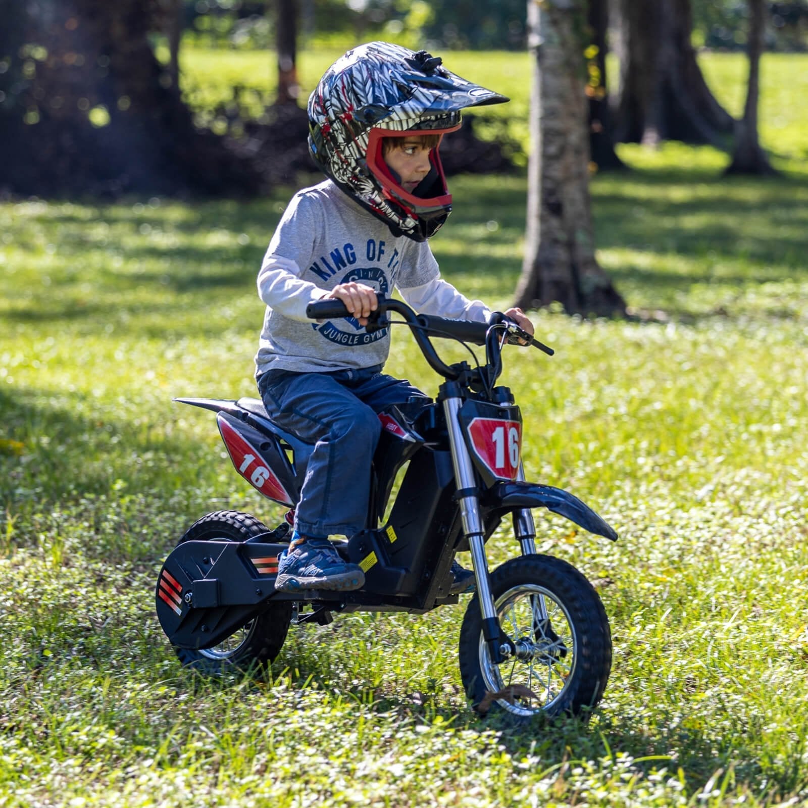 DK1 Refurbished Electric Dirt Bike – Limited $66 Offer