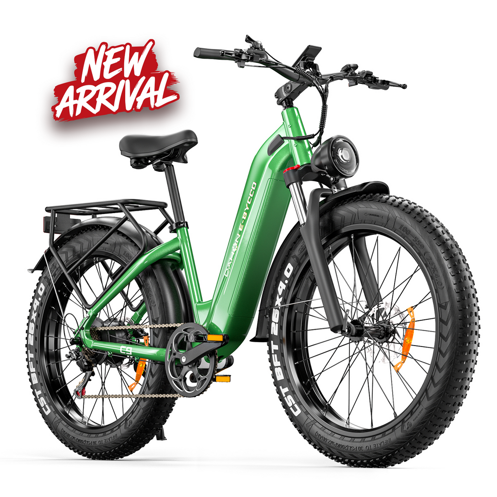 E·BYCCO&DAHON 26" C9 750W Peak 1500W 48V 20Ah Step Through Electric Bike
