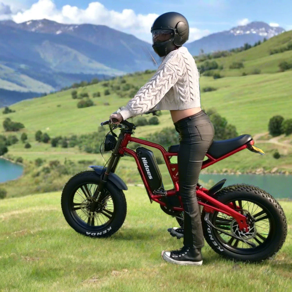 Hidoes B6 Fat Tire Electric Cruiser Bike