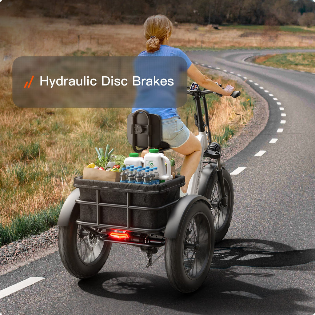 Husky Plus Electric Tricycle