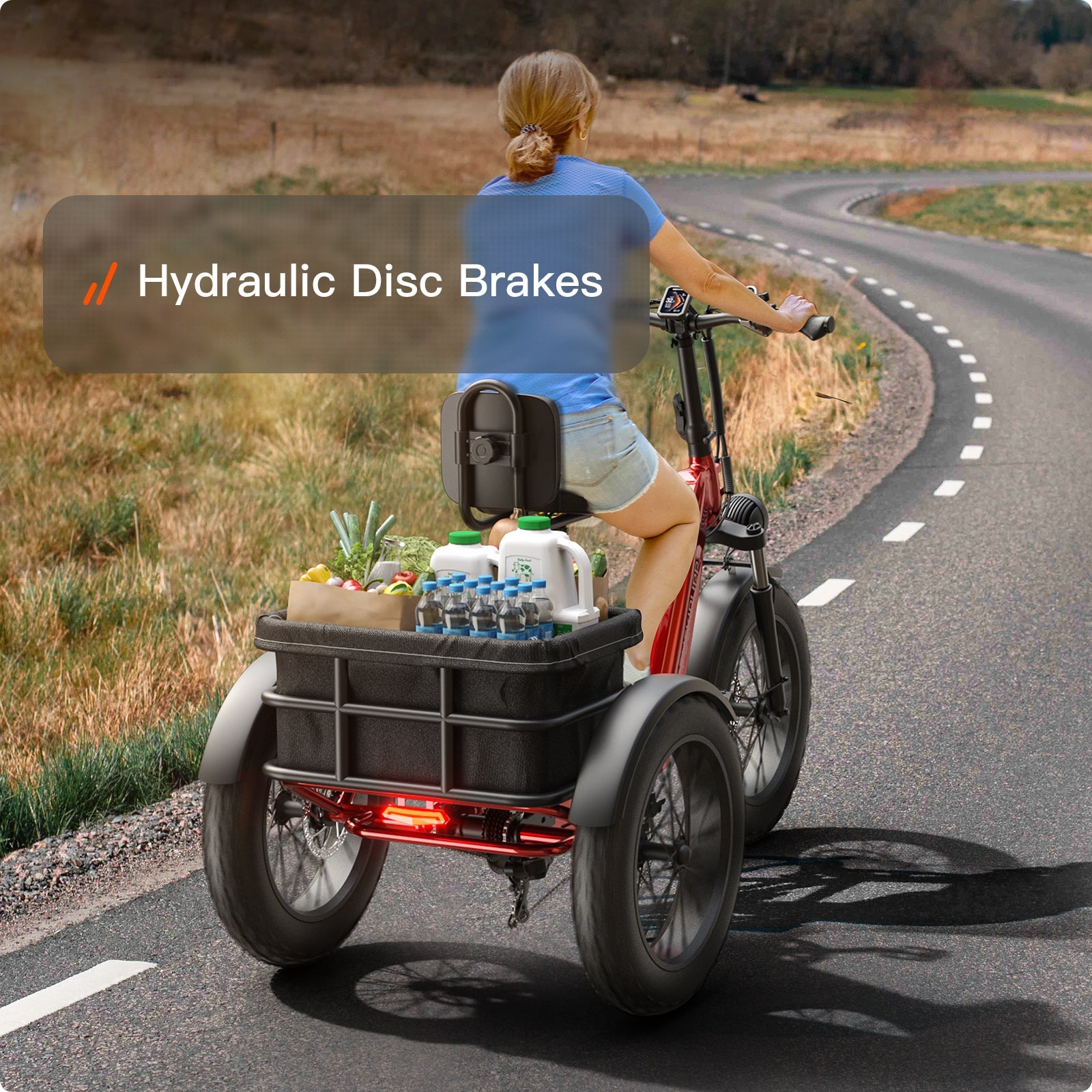 Husky Electric Tricycle
