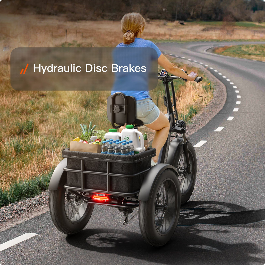 Husky Plus Electric Tricycle