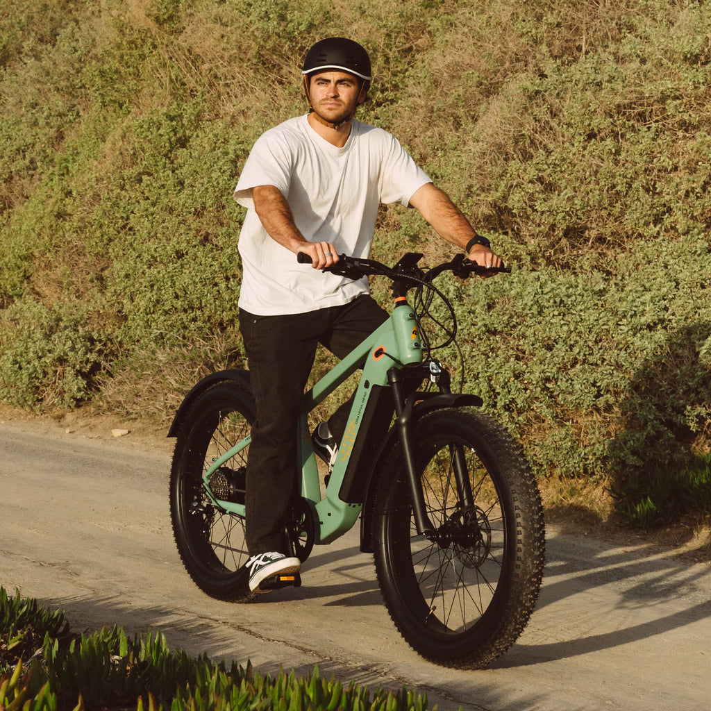 Grateful Dead Koa Rev+ 2 Fat Tire Electric Bike