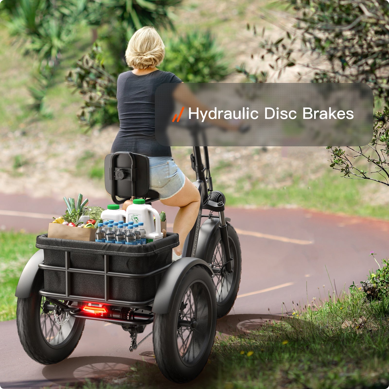 Husky Plus Electric Tricycle