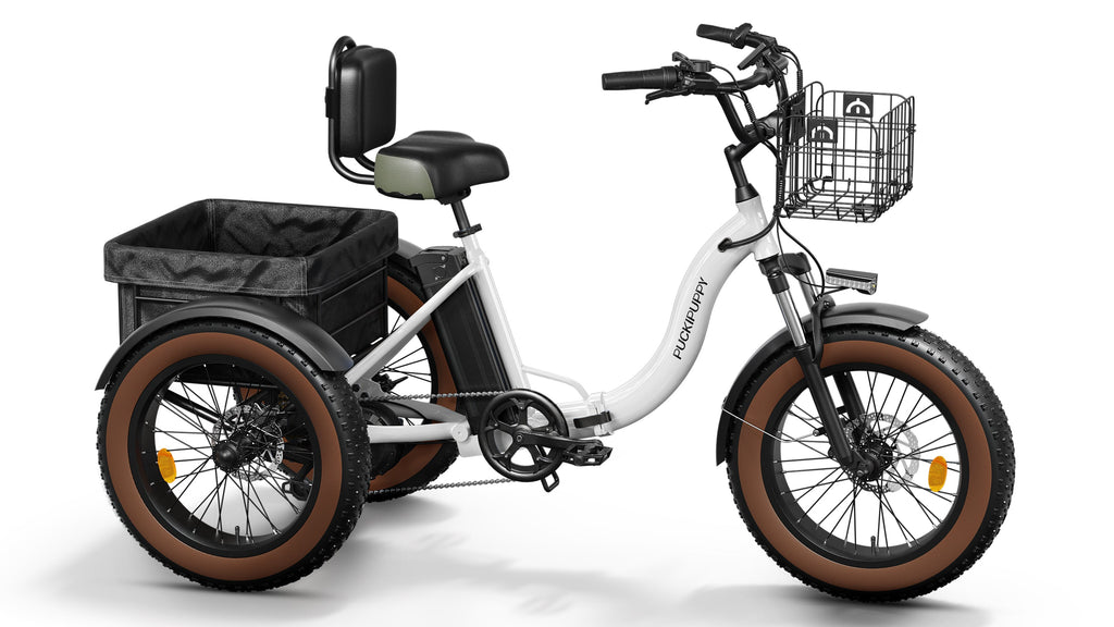 Alaskan Electric Tricycle