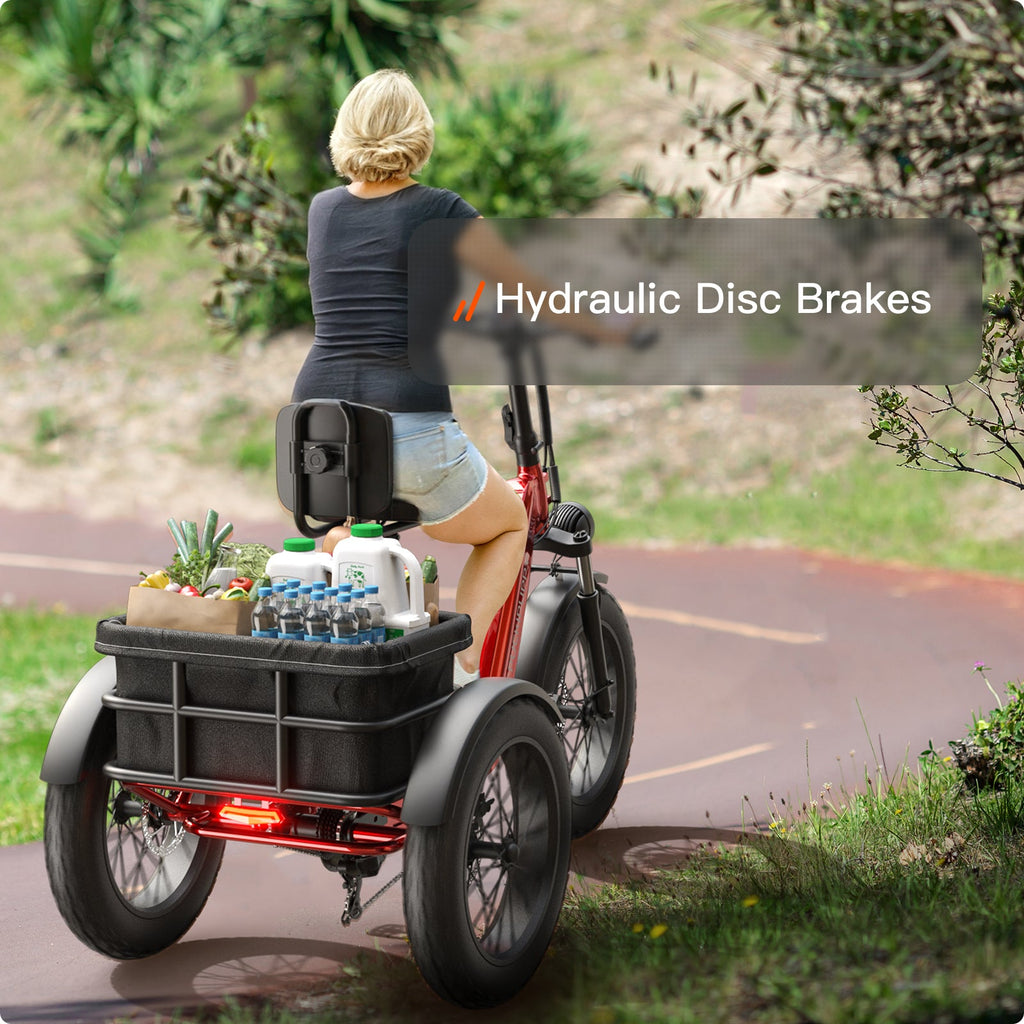 Husky Plus Electric Tricycle