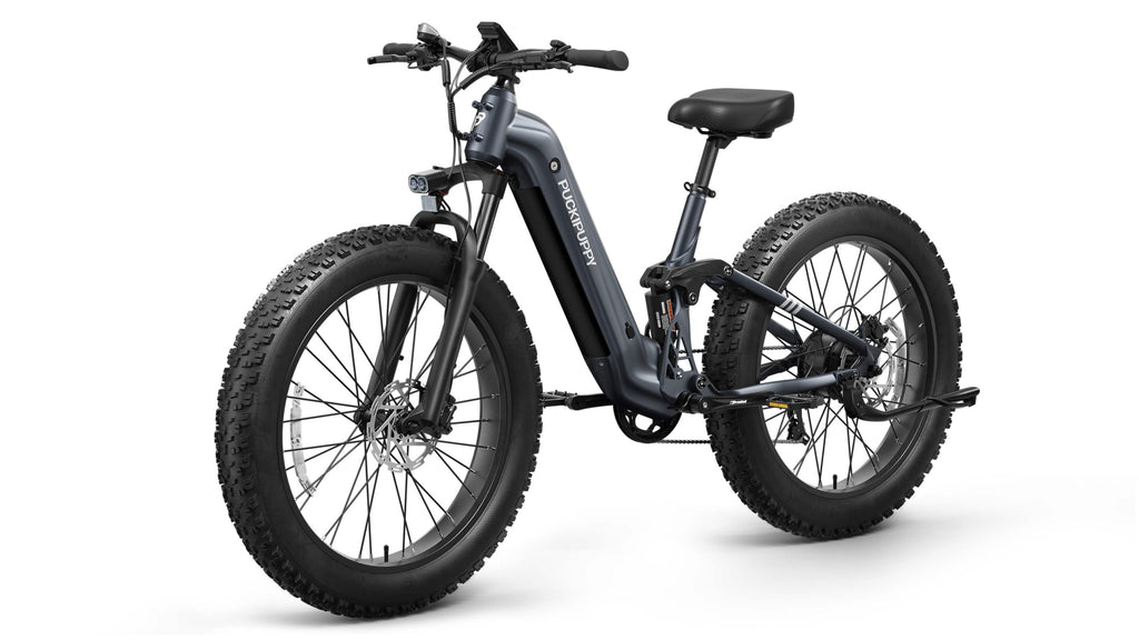 Boxer ST Ebike