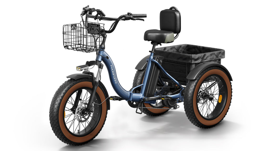 Alaskan Electric Tricycle