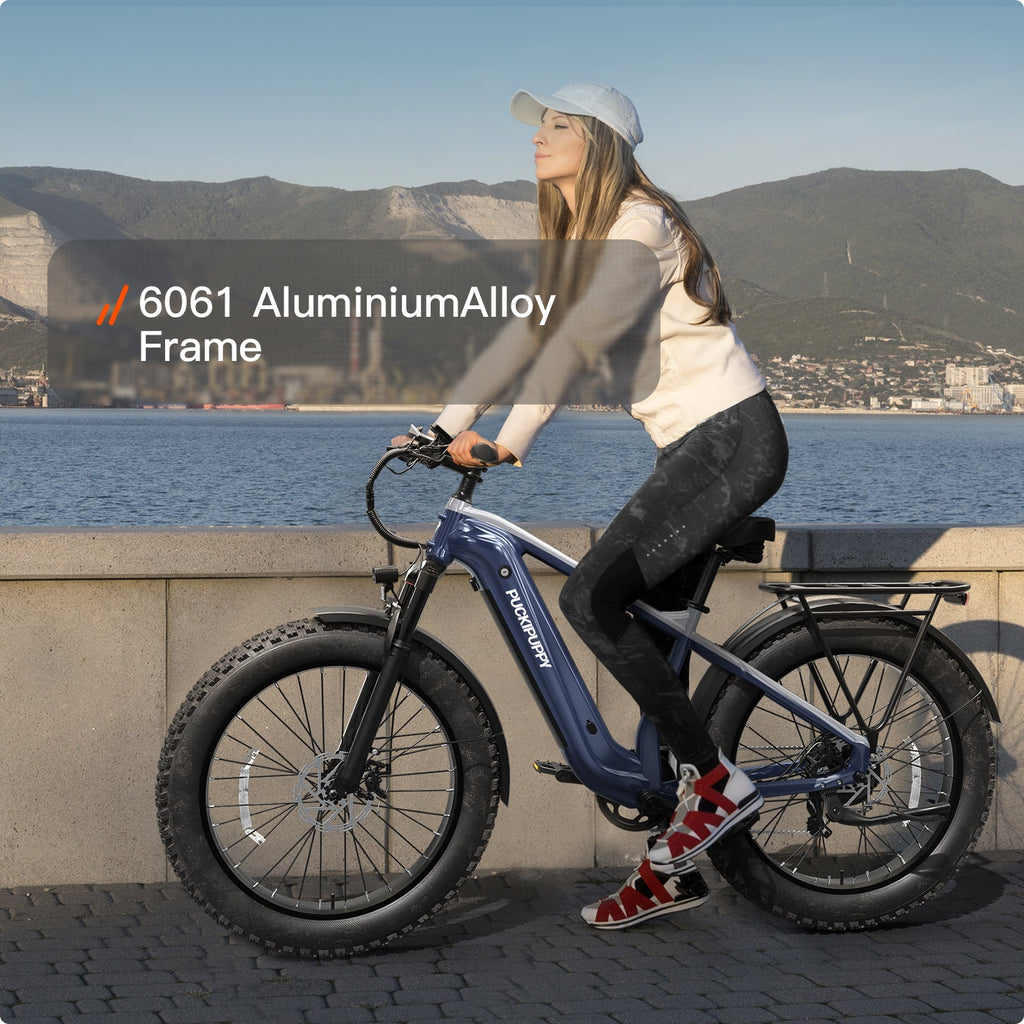 Beagle 2 Ebike