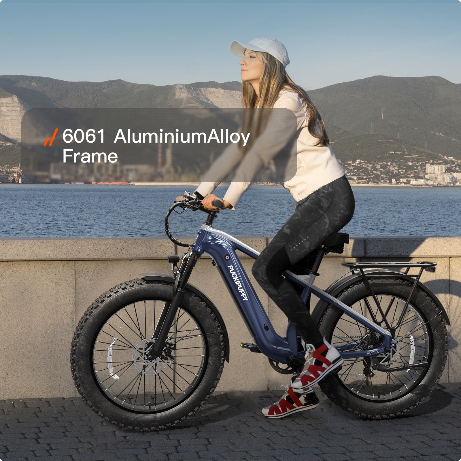 Beagle 2 Ebike