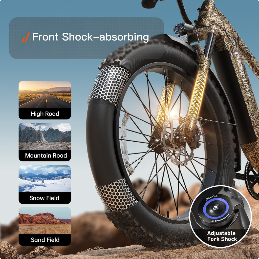 Beagle 2 Ebike