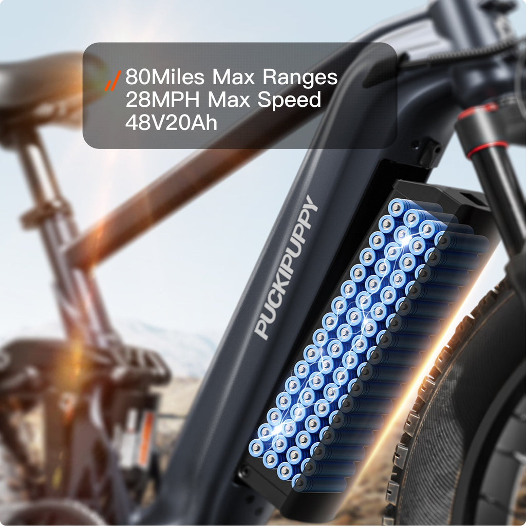 GoldenR Ebike