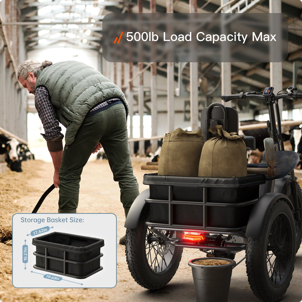 Husky Plus Electric Tricycle