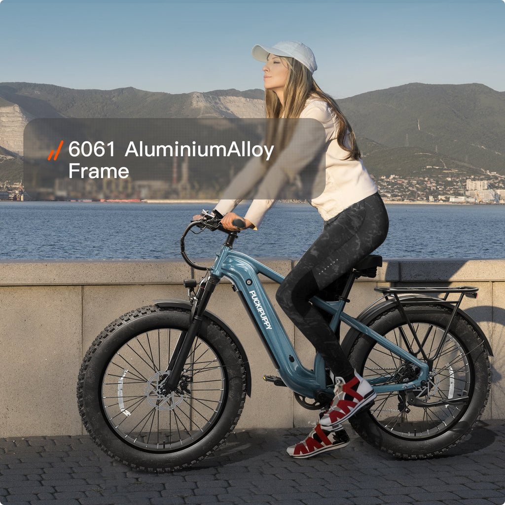 Beagle 2 Ebike