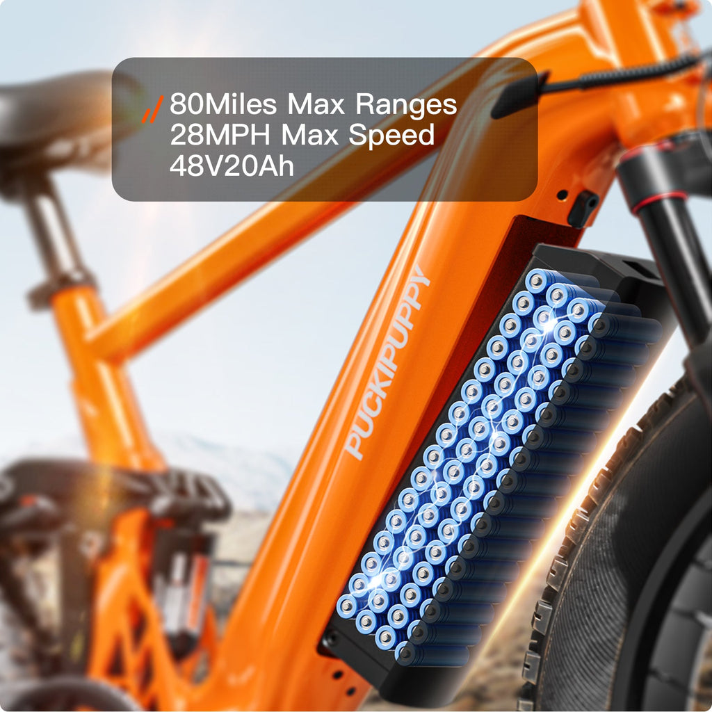 GoldenR Ebike