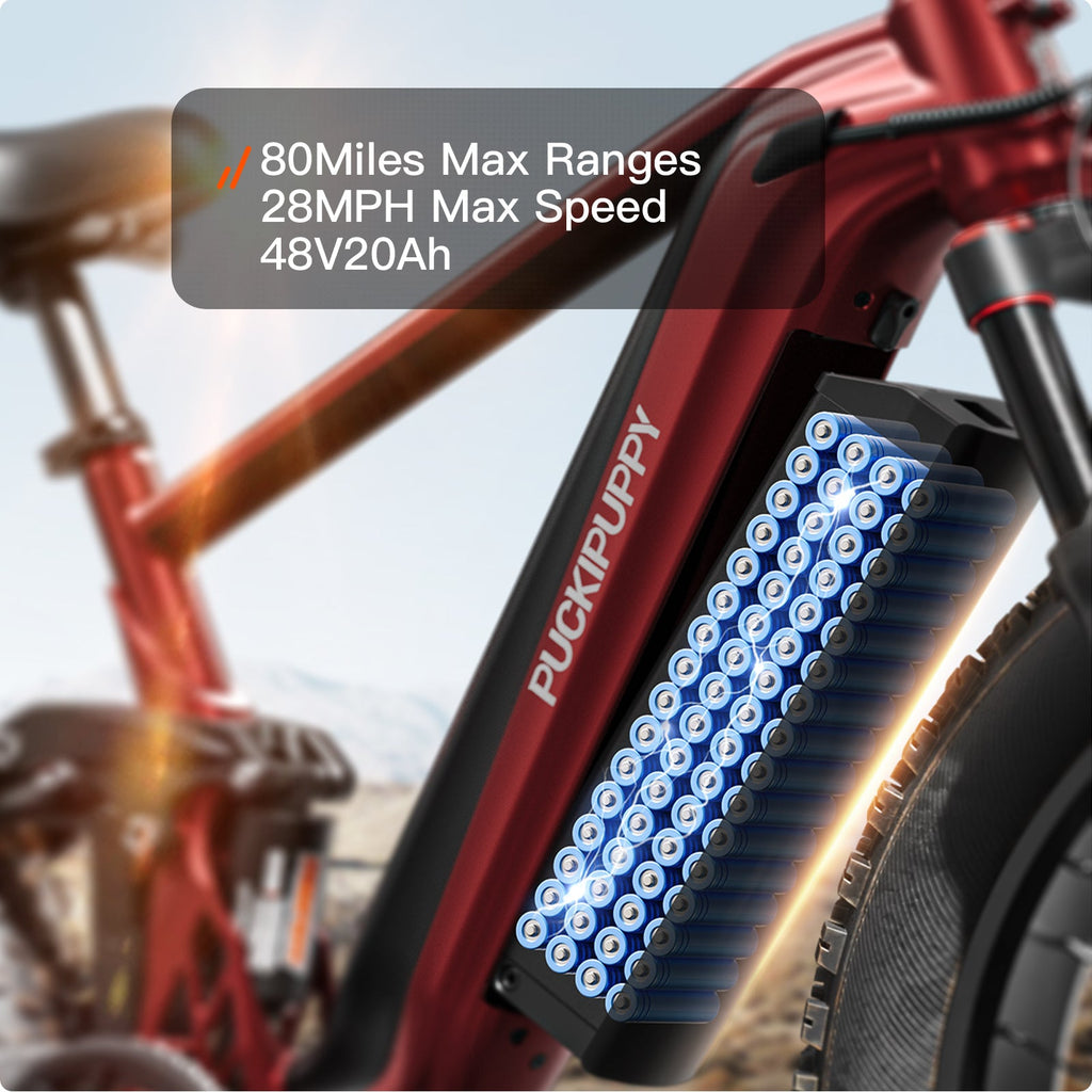 GoldenR Ebike