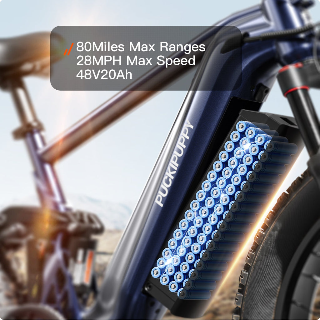 GoldenR Ebike