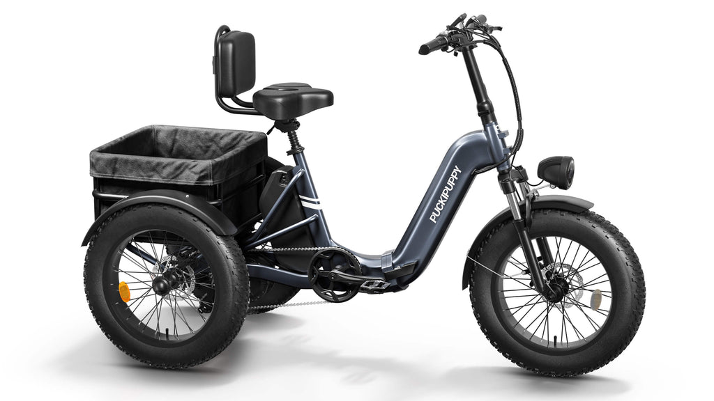 Husky Plus Electric Tricycle