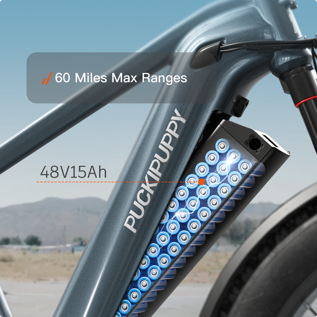 Beagle 2 Ebike