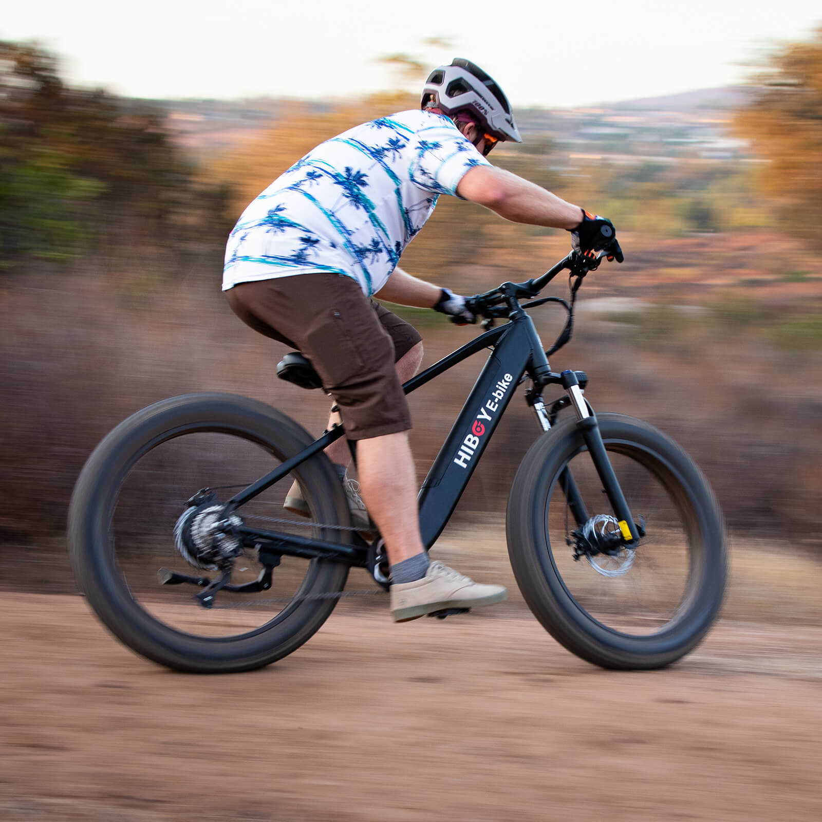 Hiboy P6 Refurbished Fat Tire Electric Bike