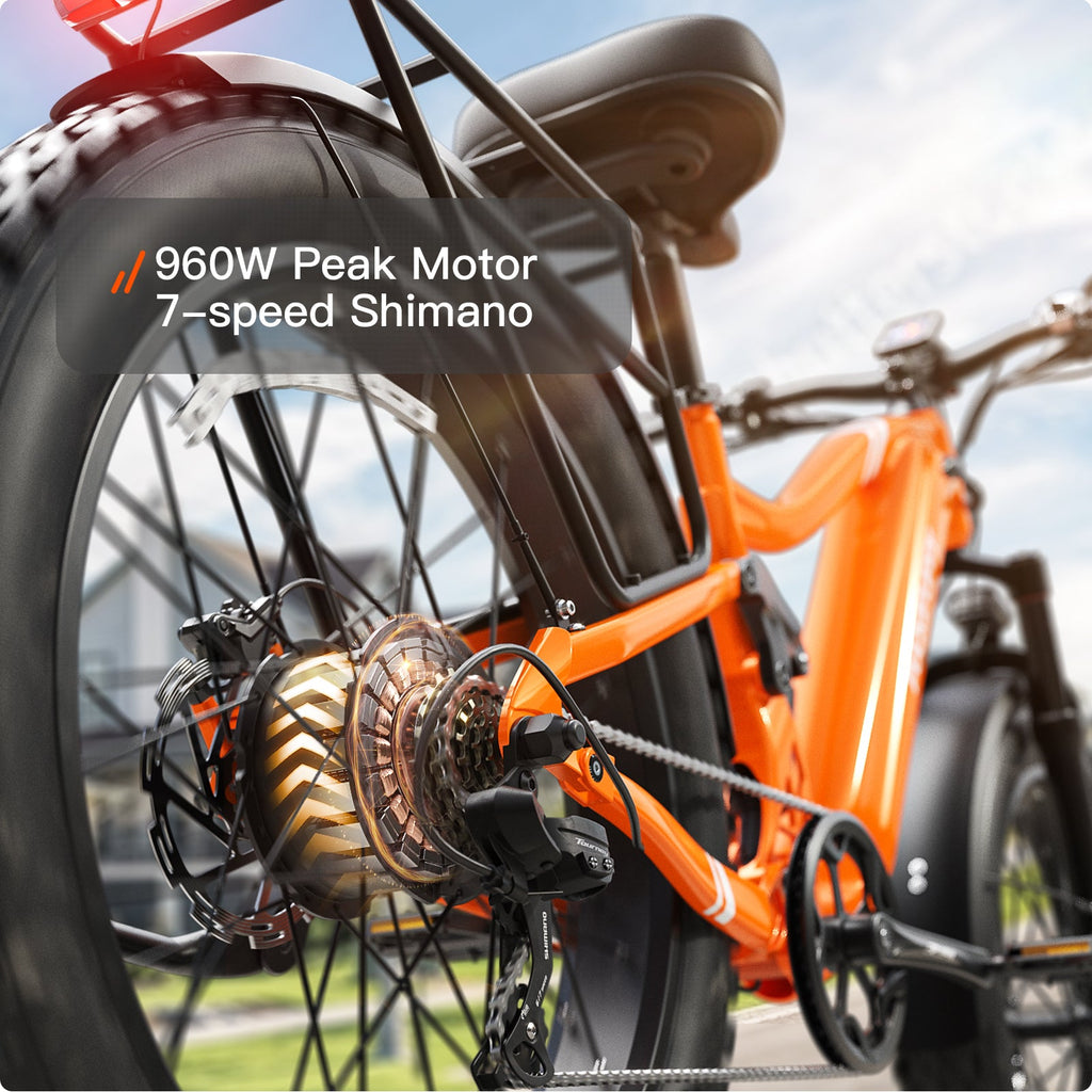 Boxer Ebike