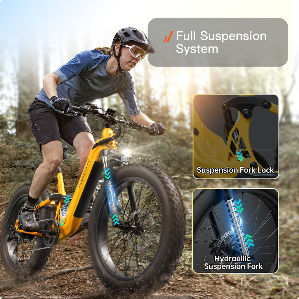 Boxer ST Ebike