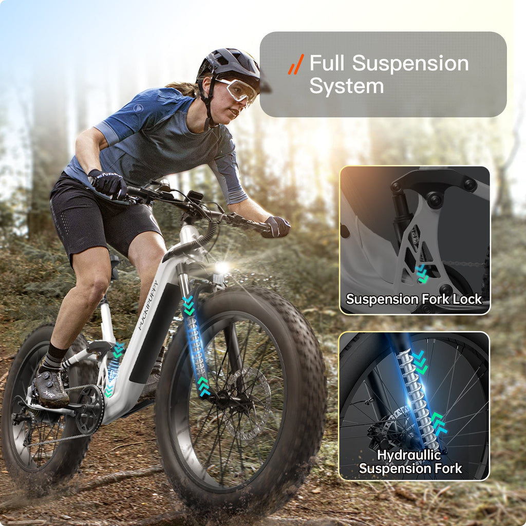 Boxer ST Ebike