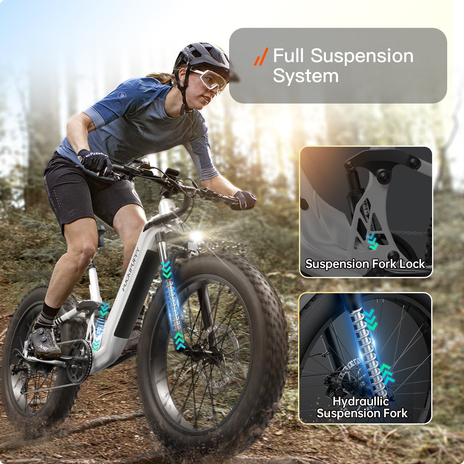 Boxer ST Ebike