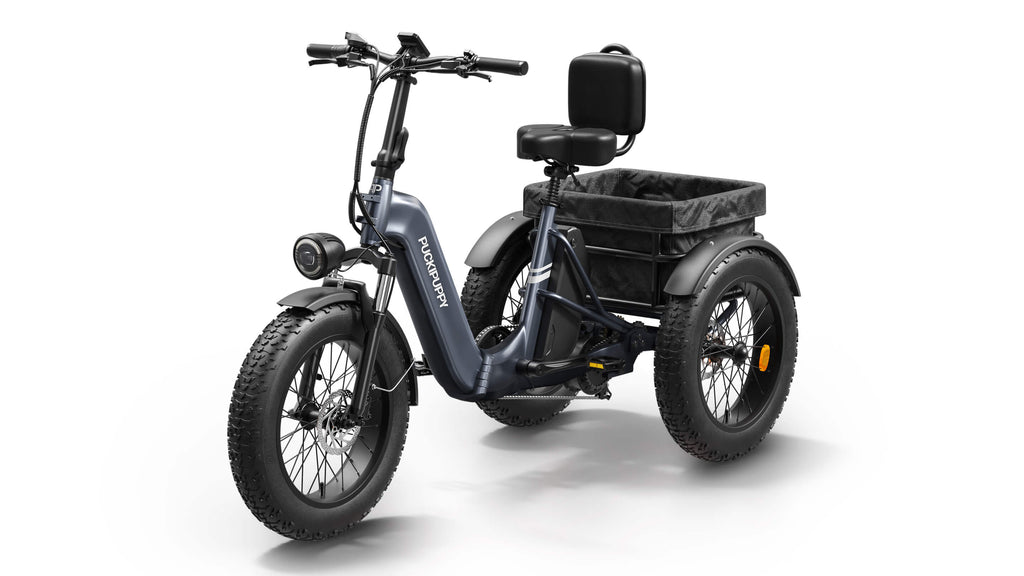 Husky Electric Tricycle