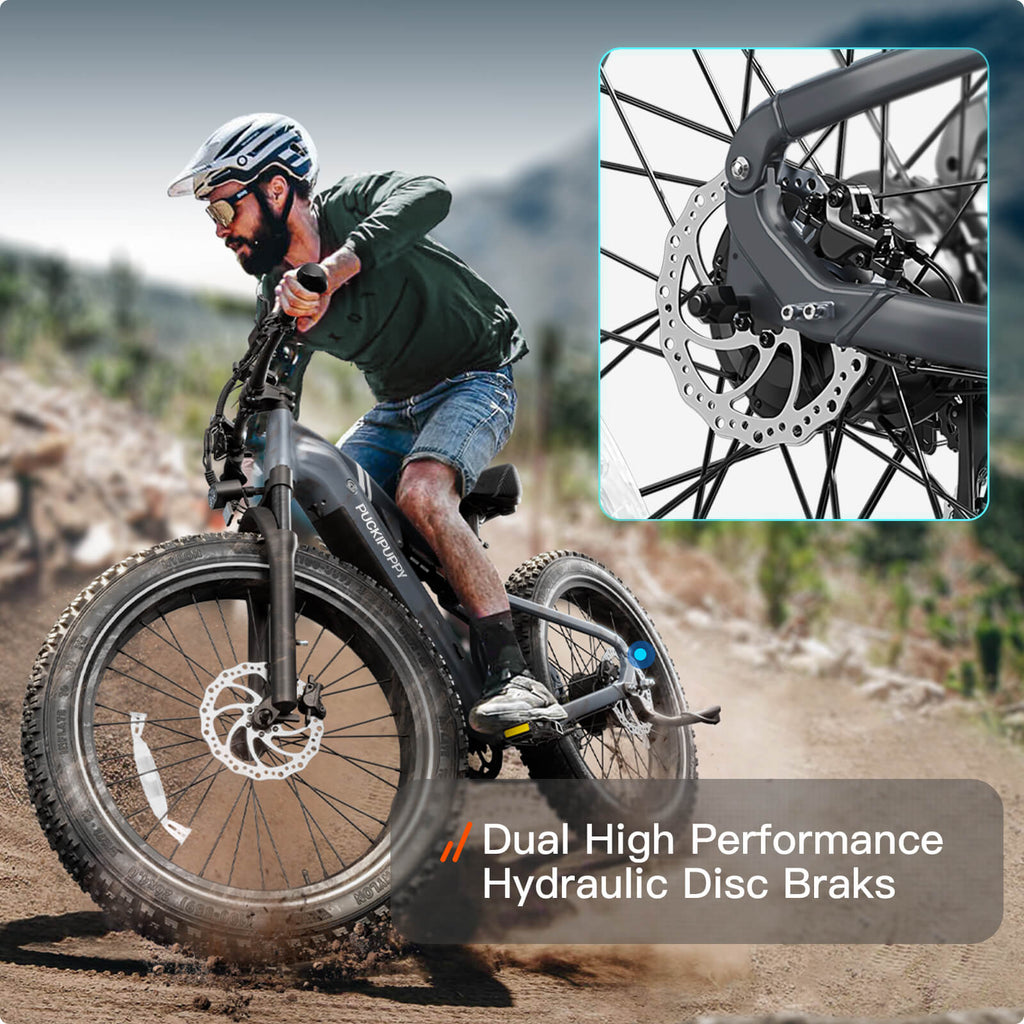 Labrador Pro Ebike