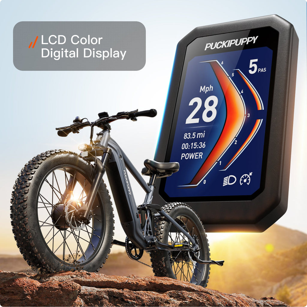 GoldenR Ebike