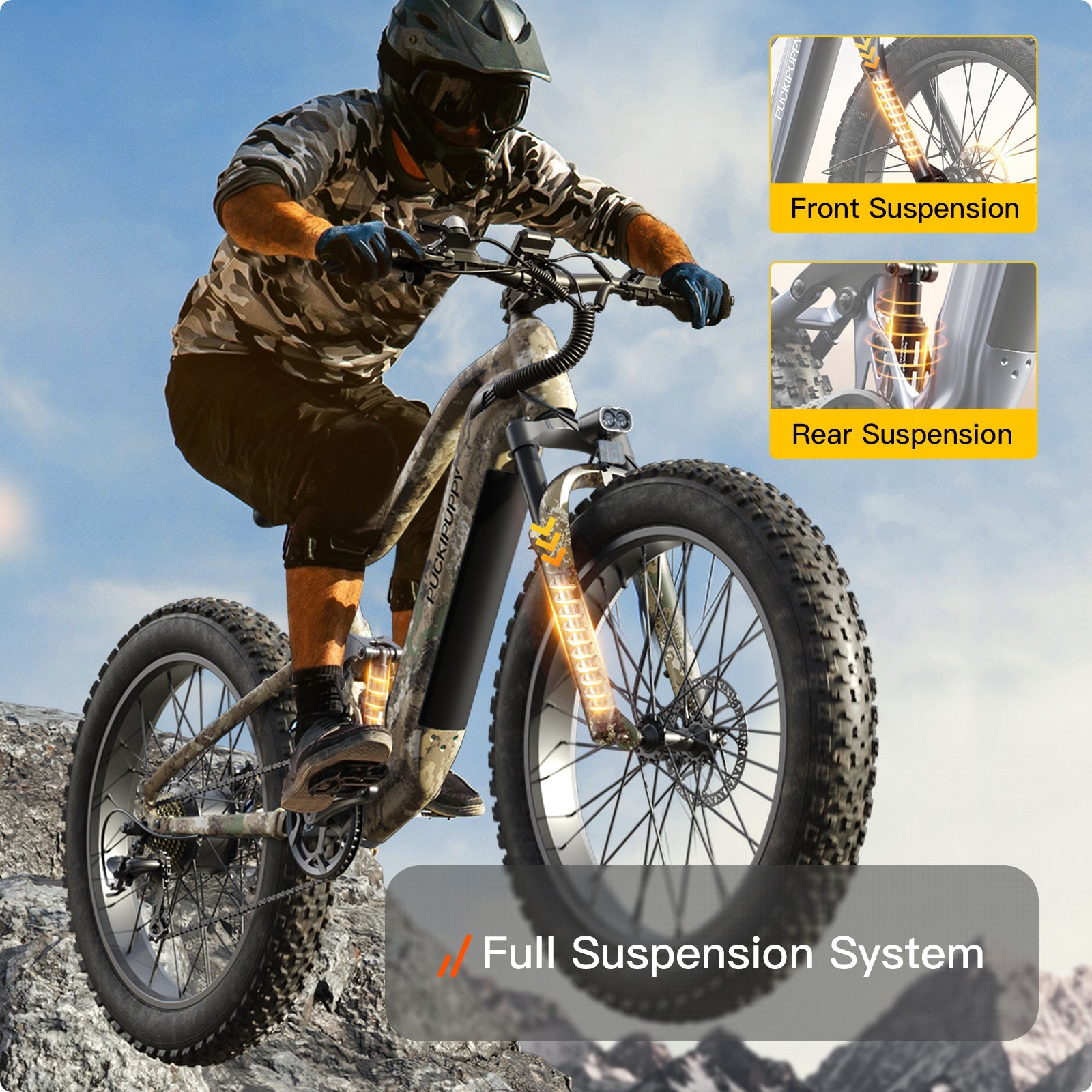 Boxer Ebike