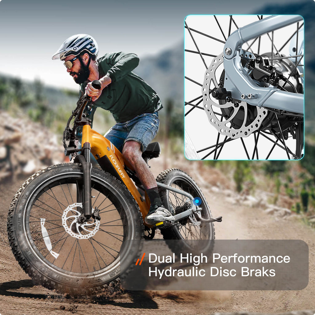 Labrador Pro Ebike