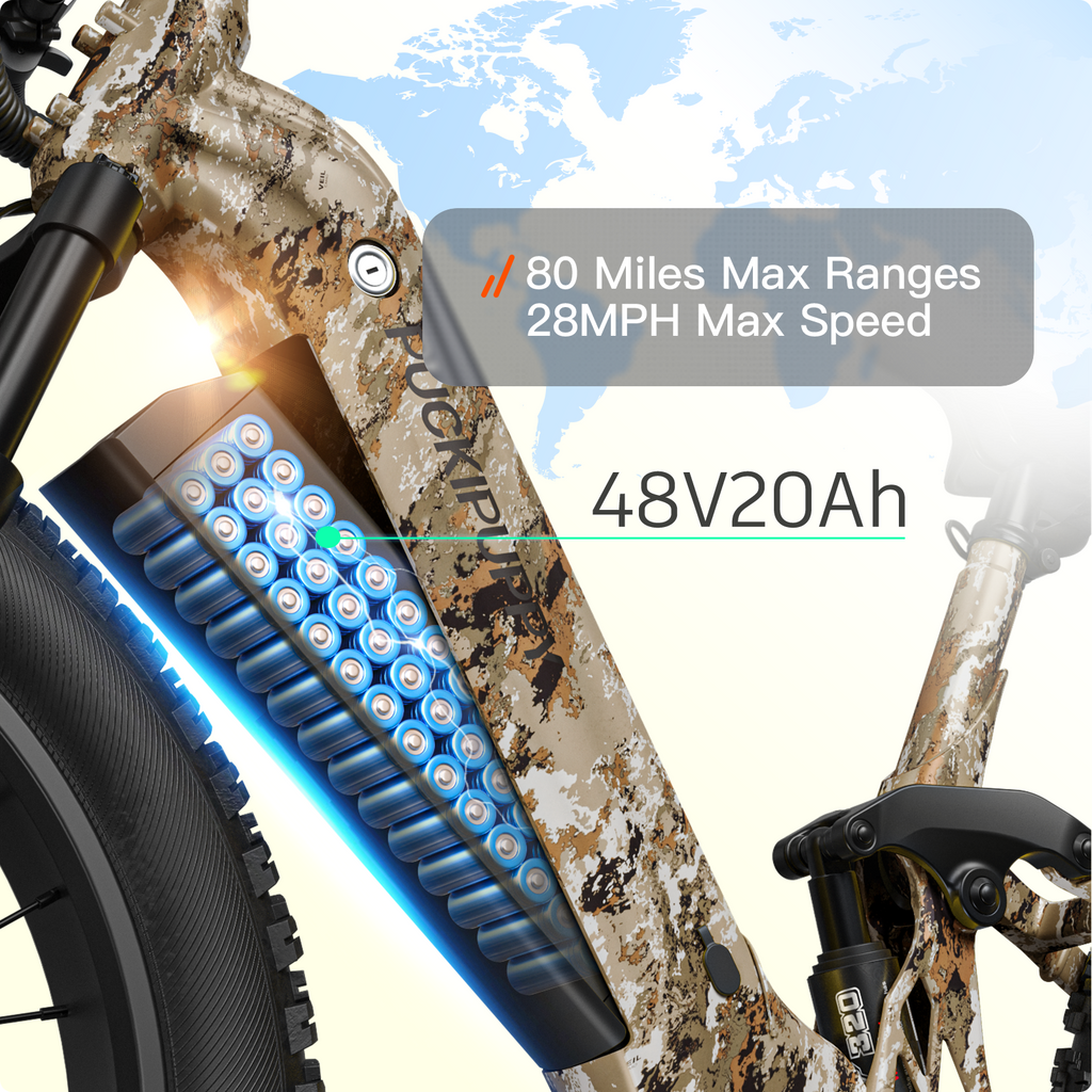 Boxer ST Ebike