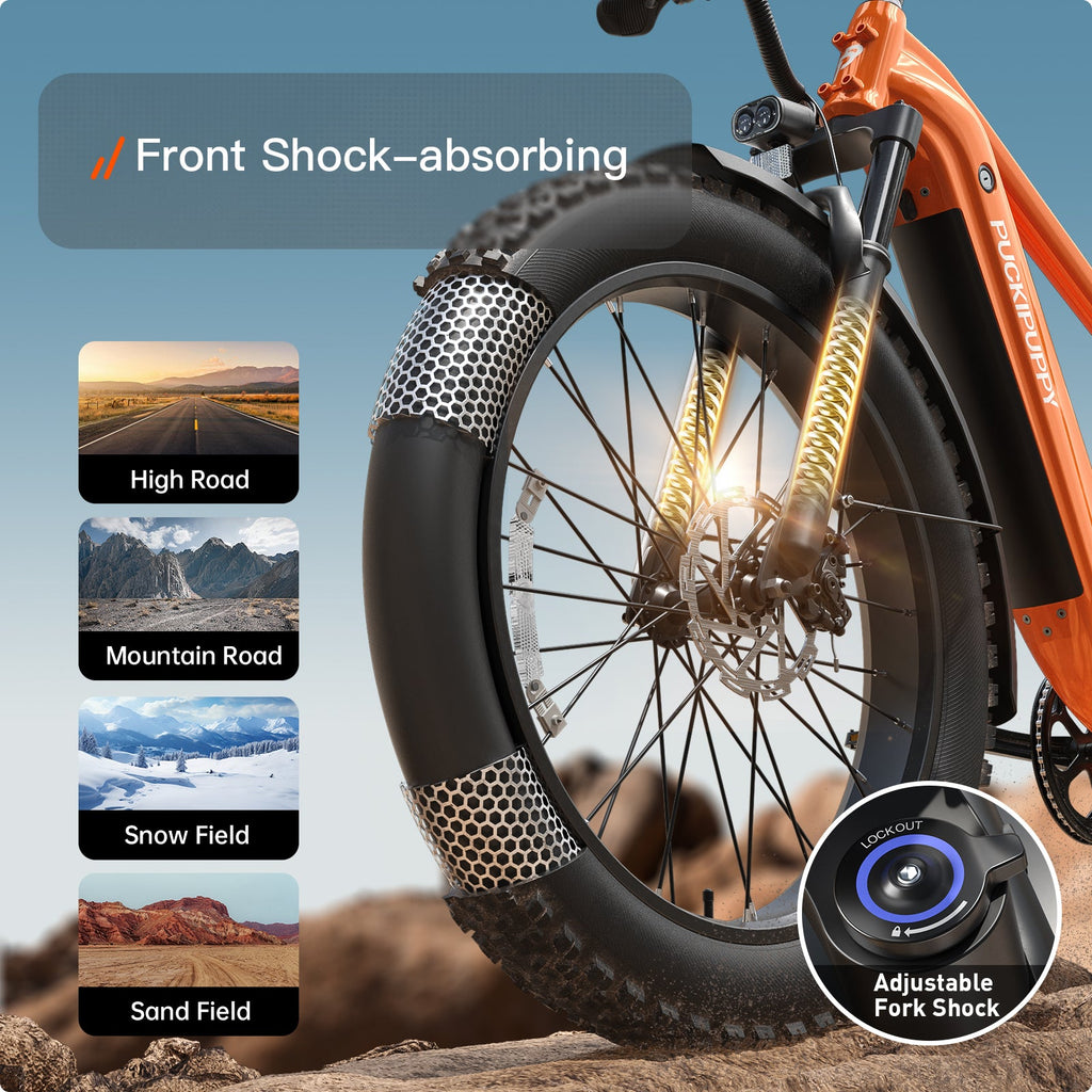 Beagle 2 Ebike