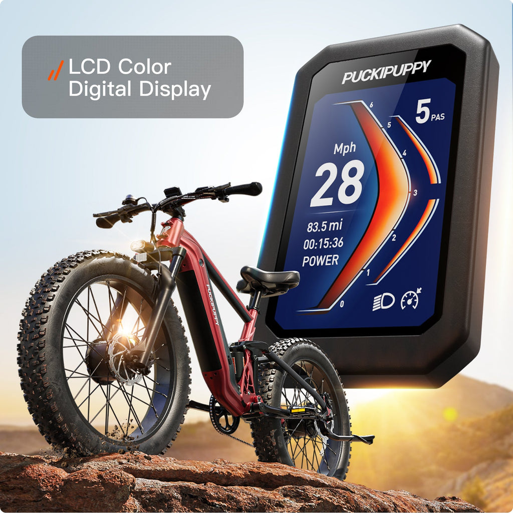 GoldenR Ebike