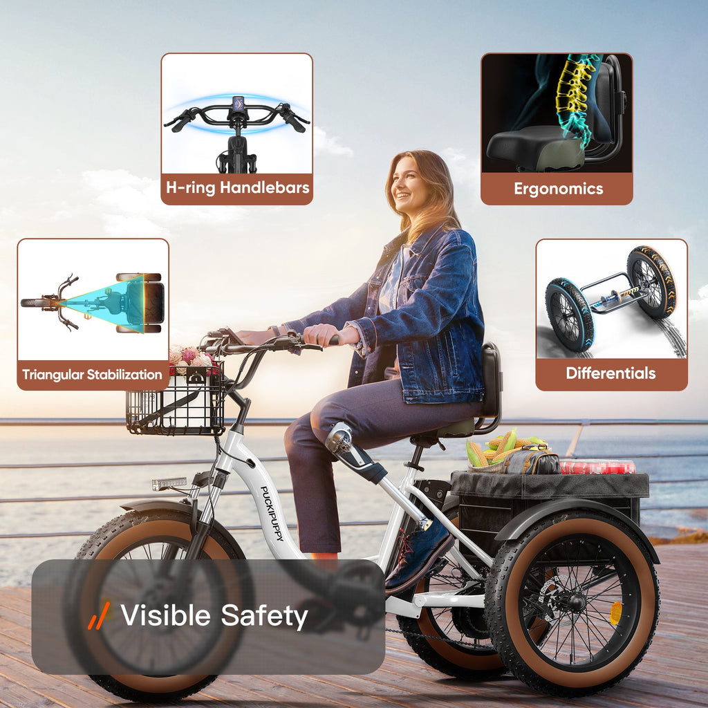 Alaskan Electric Tricycle
