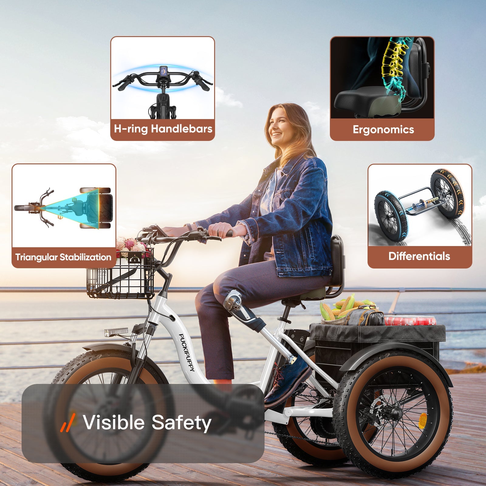 Alaskan Electric Tricycle