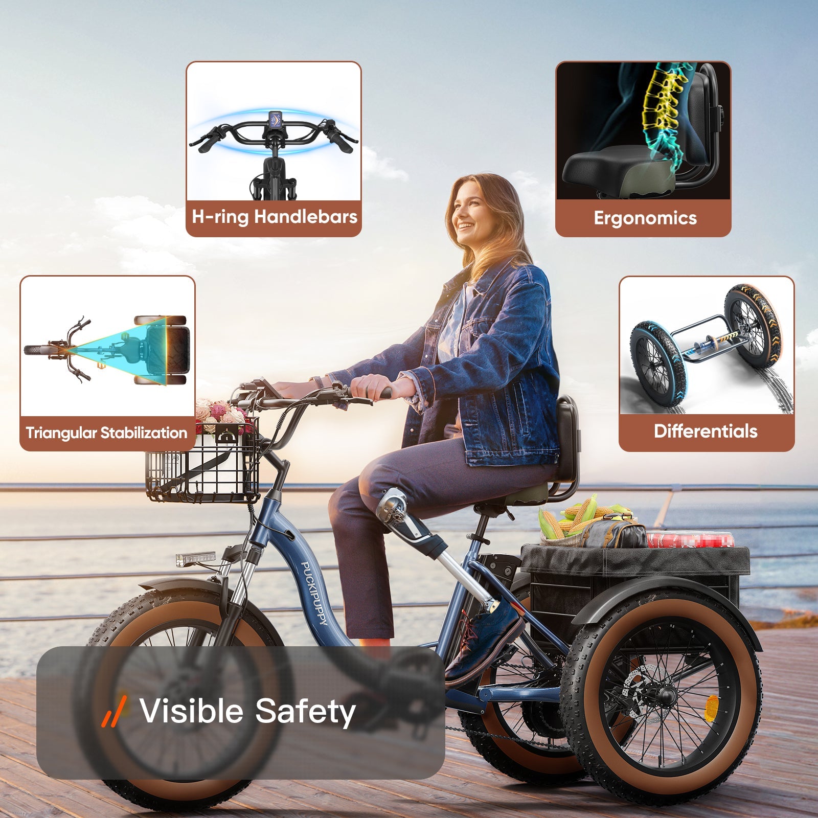 Alaskan Electric Tricycle