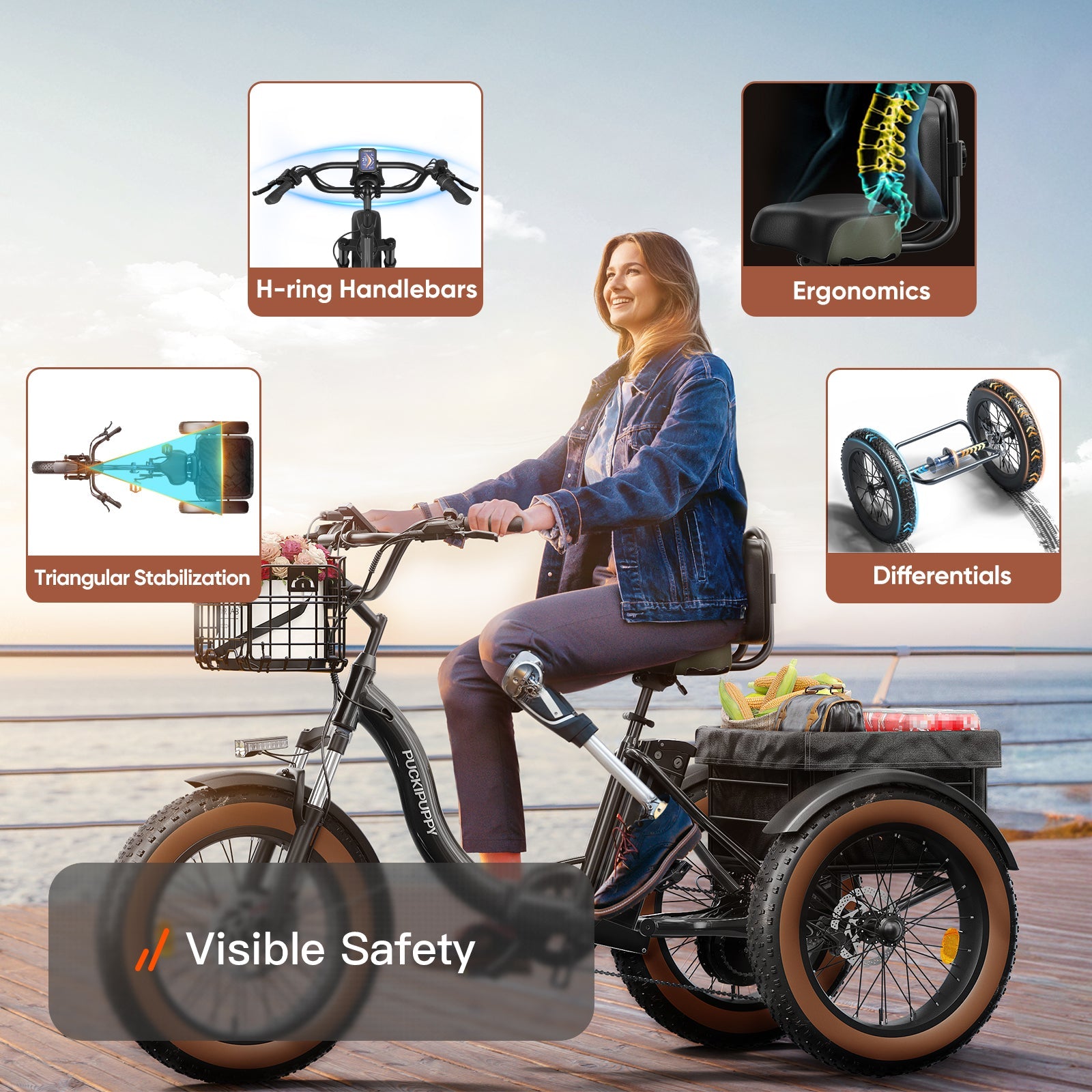 Alaskan Electric Tricycle