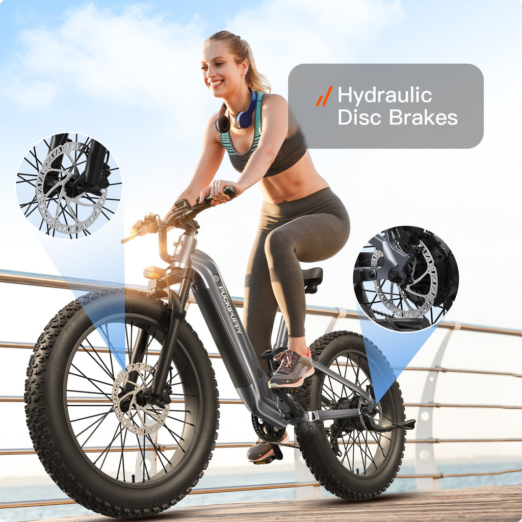 Boxer ST Ebike