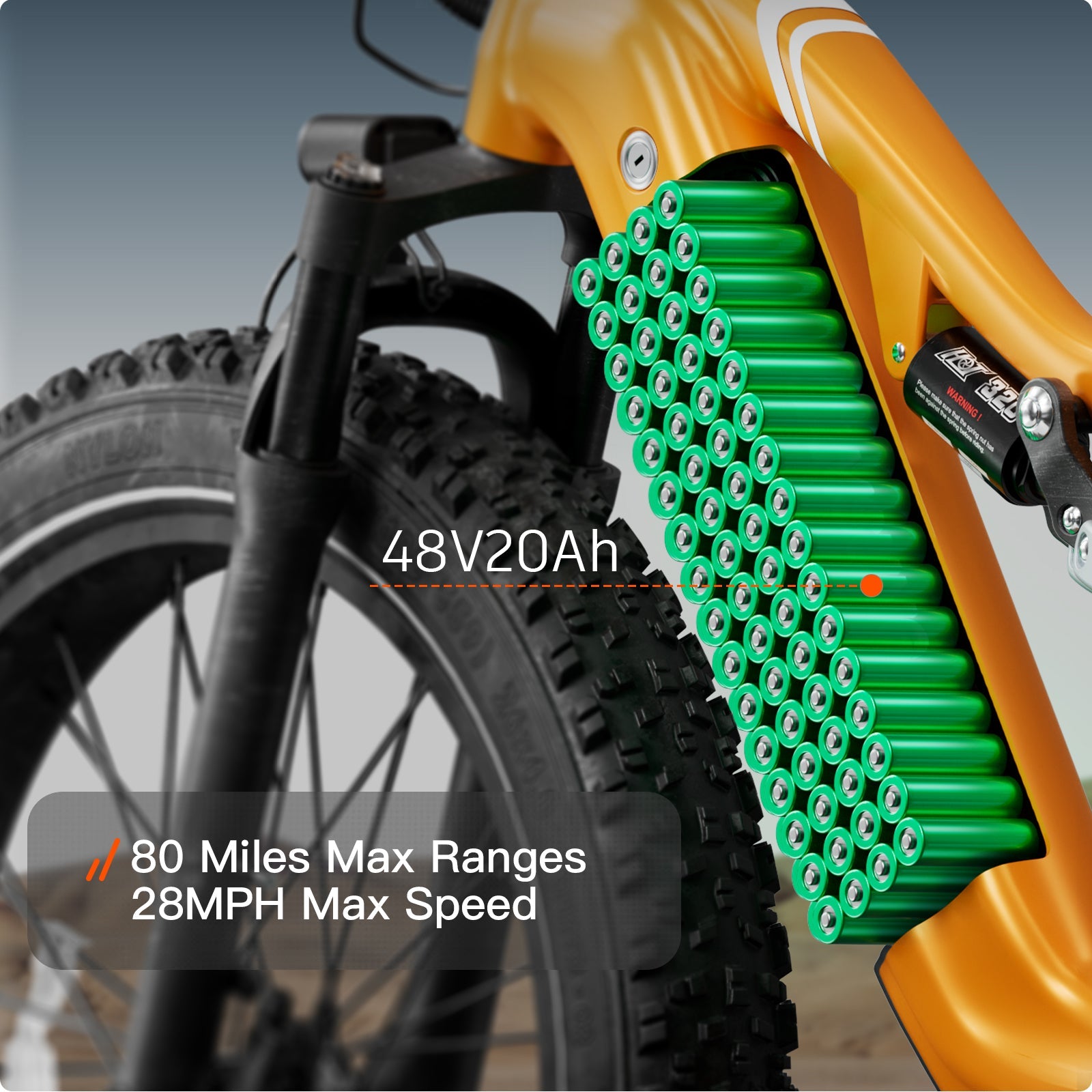 Labrador Ebike