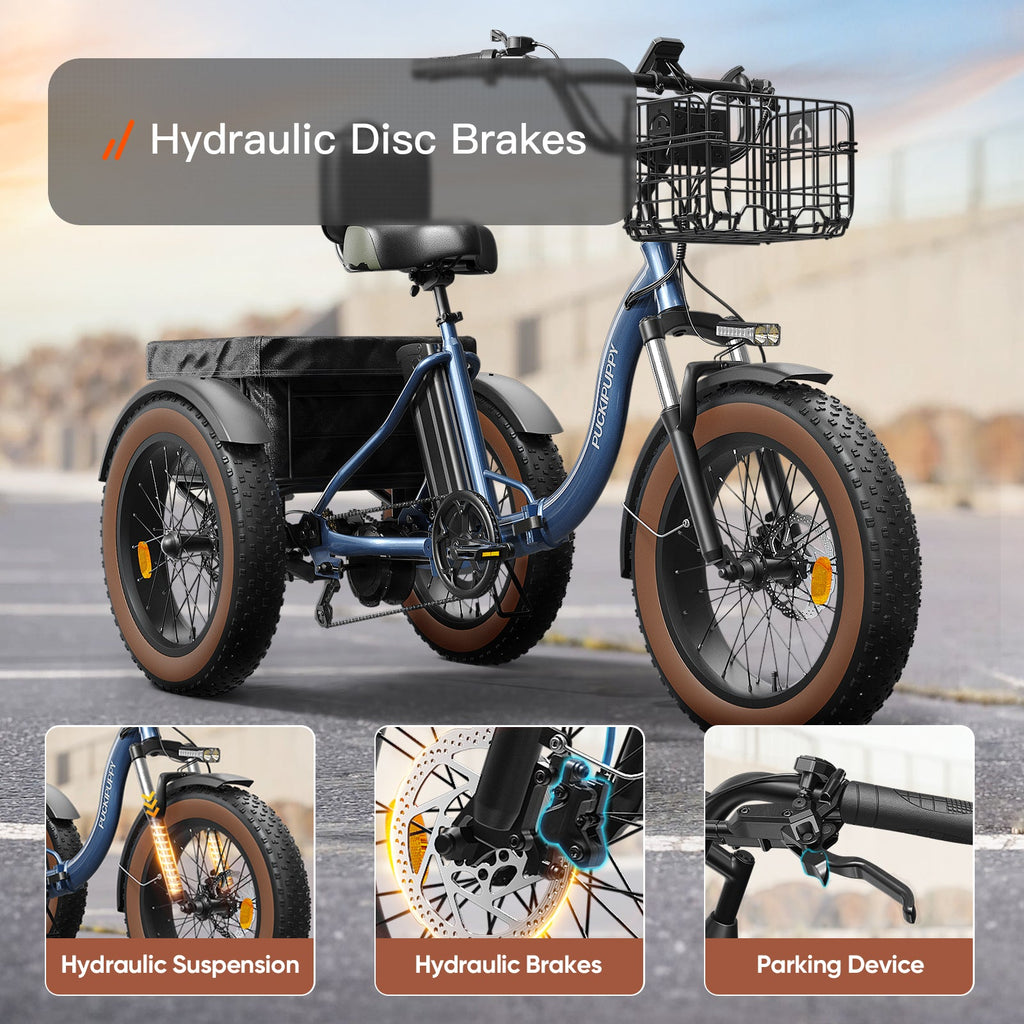 Alaskan Electric Tricycle