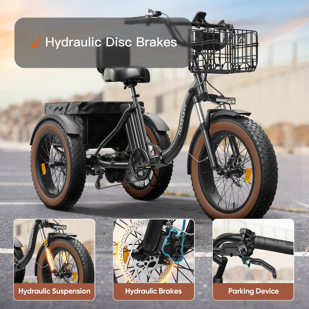 Alaskan Electric Tricycle