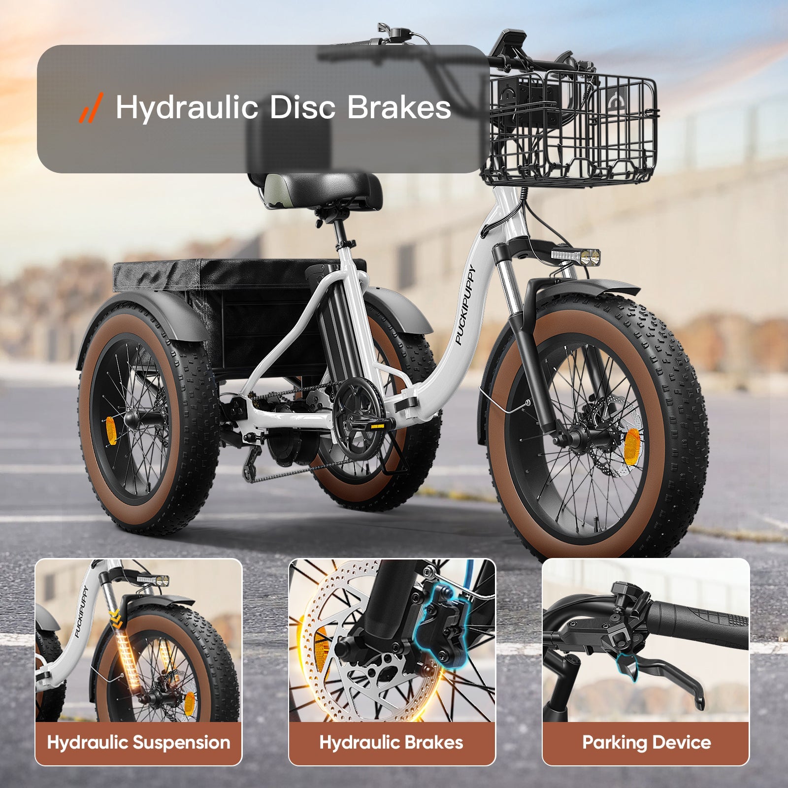 Alaskan Electric Tricycle