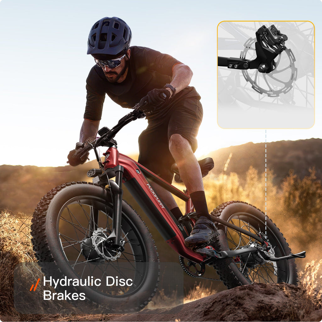 GoldenR Ebike
