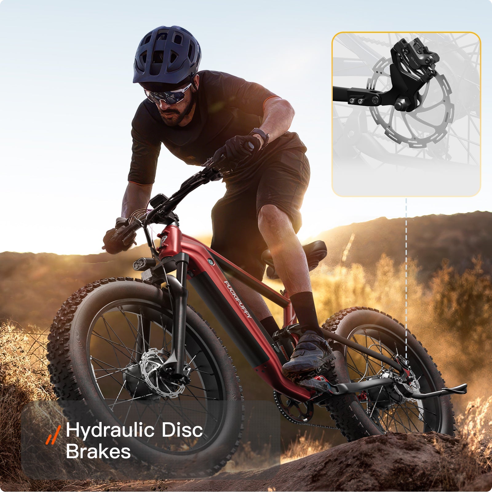 GoldenR Ebike