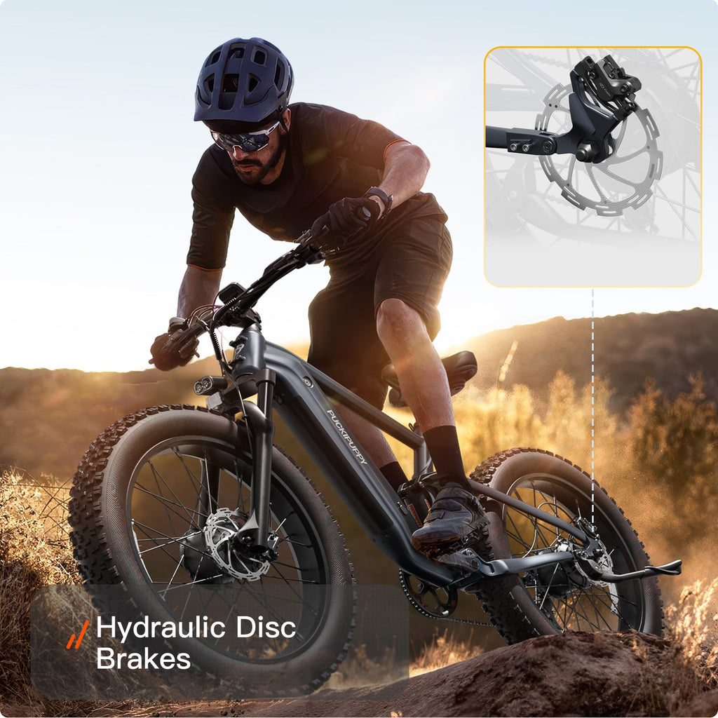 GoldenR Ebike
