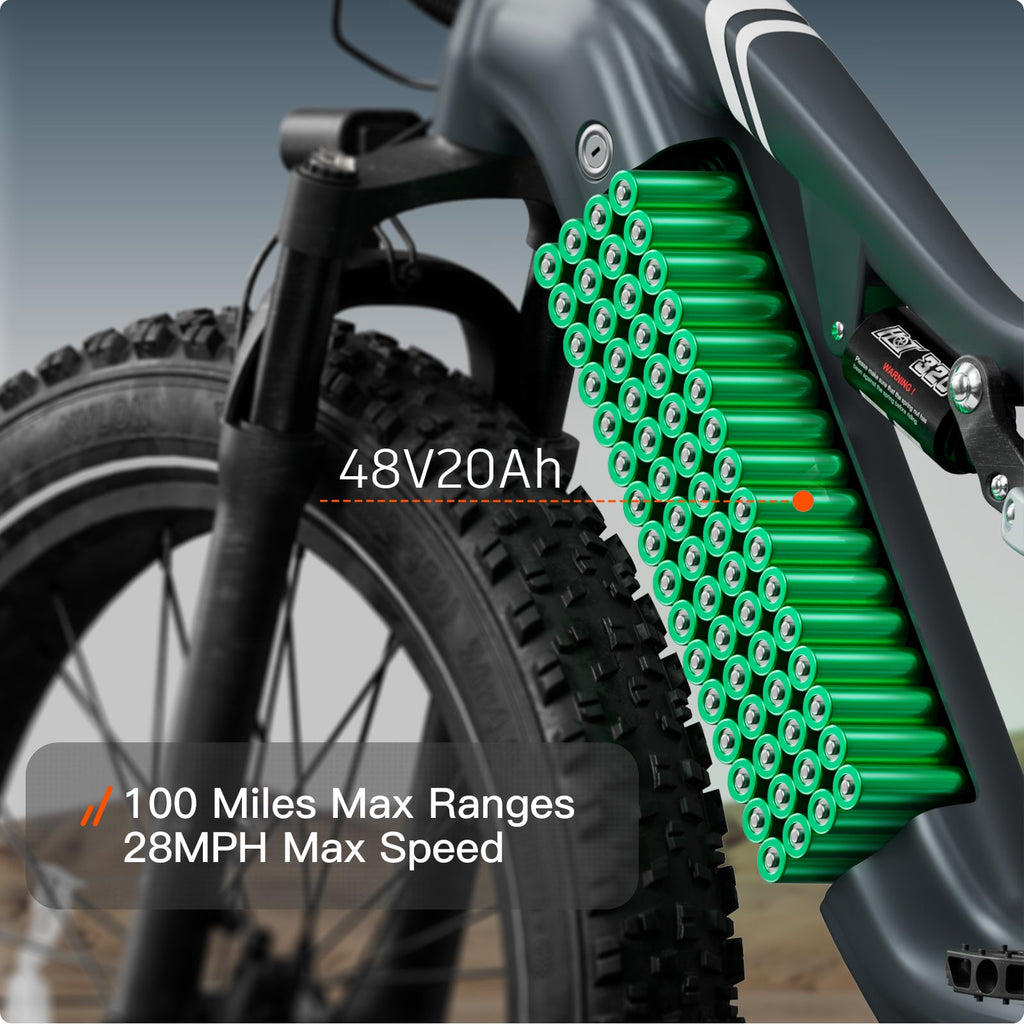 Labrador Pro Ebike